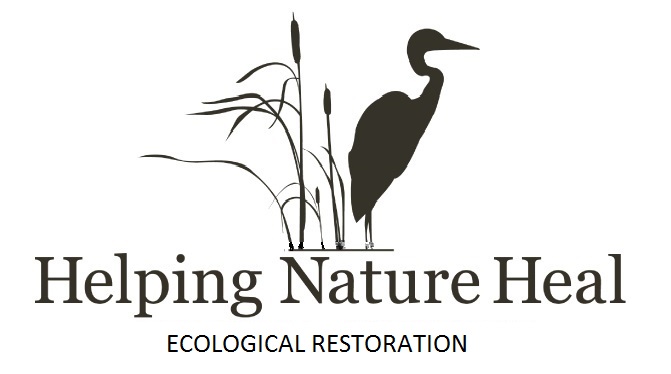 Helping Nature Heal